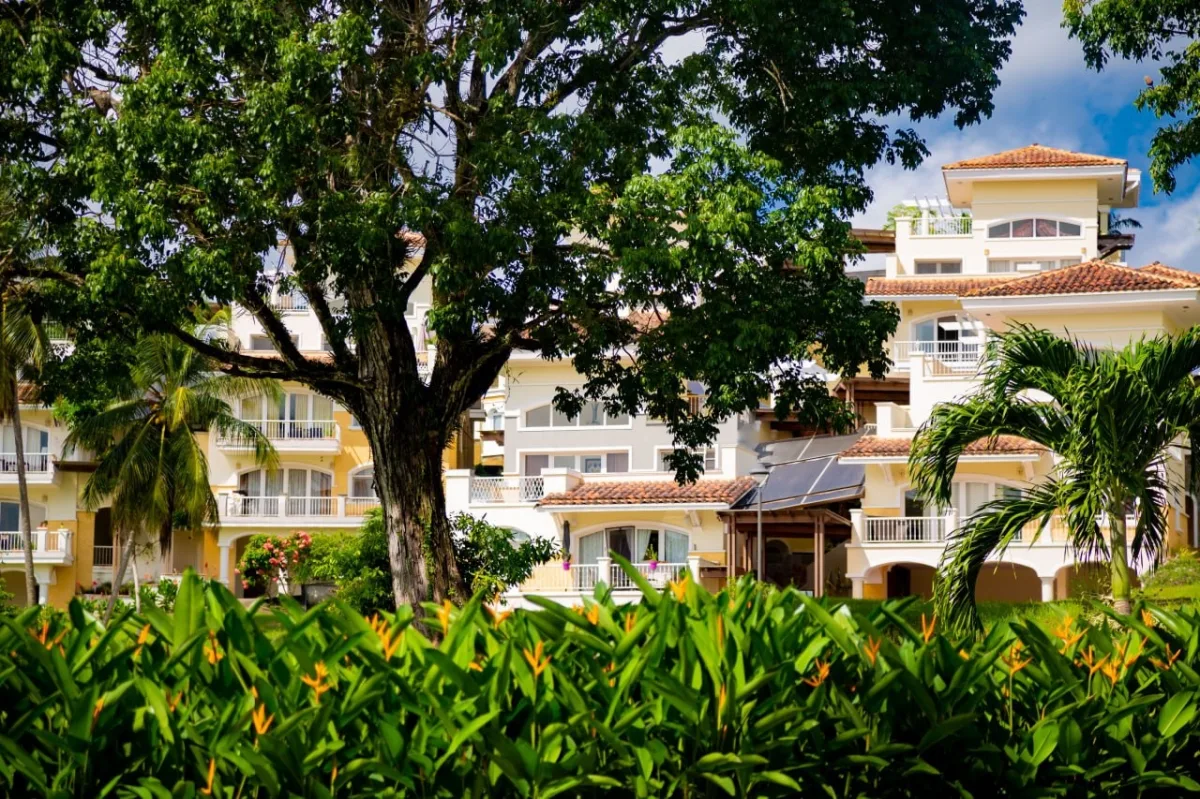 Cocolí - Mahogany Suites