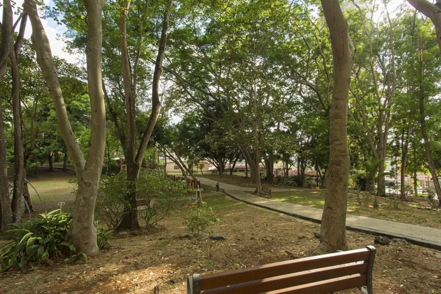 Hato Pintado - Bonavista at The Park