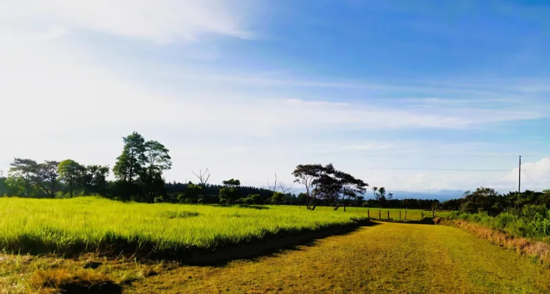 Chiriquí - Terrenos de inversión en Potrerillos