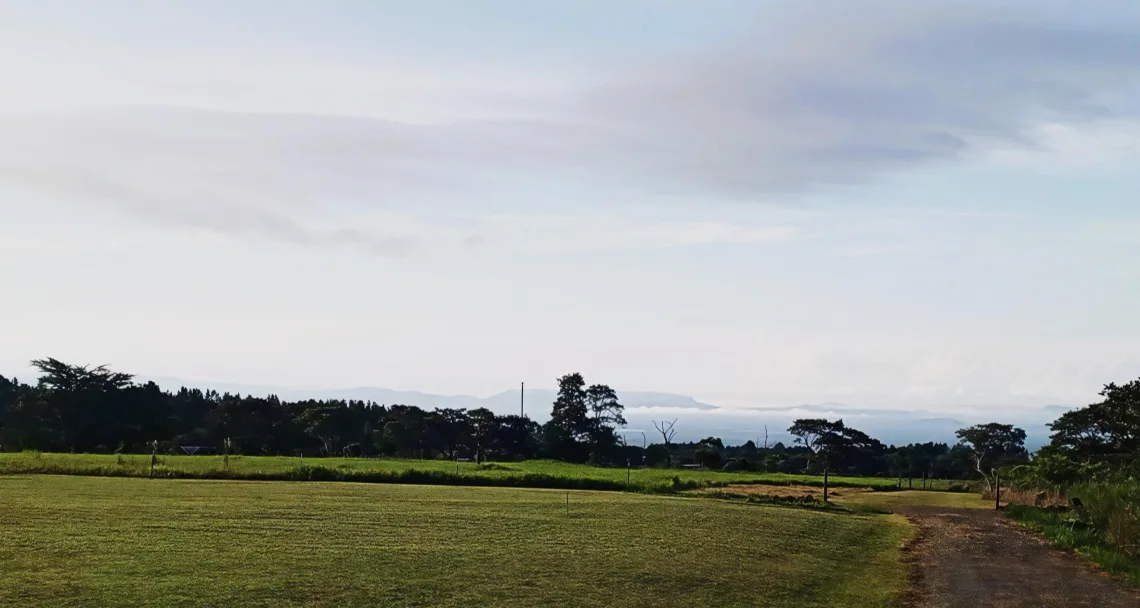 Chiriquí - Terrenos de inversión en Potrerillos