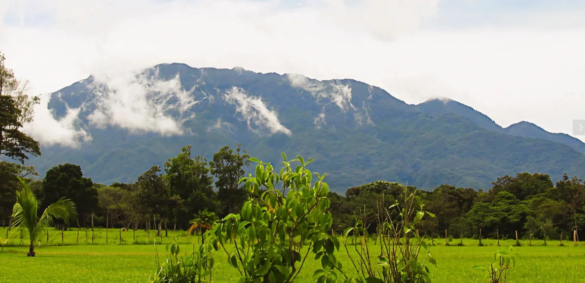 Chiriquí - Terrenos de inversión en Potrerillos