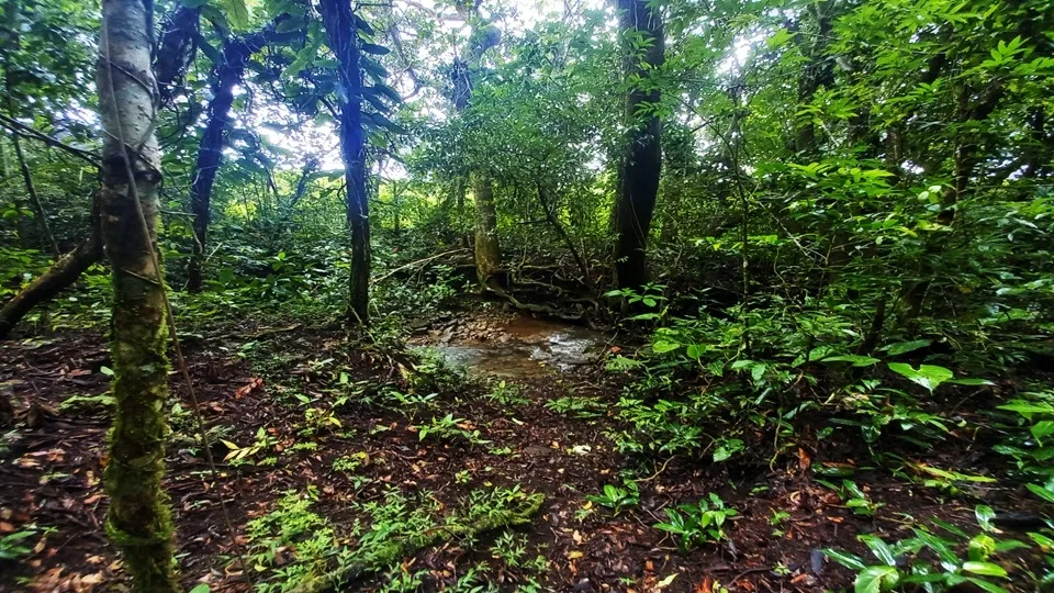 Chiriquí - Terrenos de inversión en Potrerillos