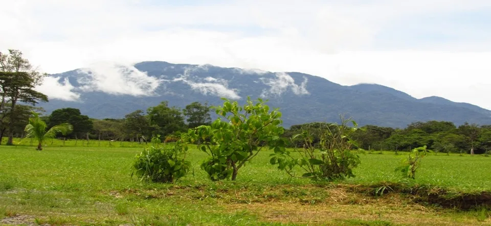 Chiriquí - Terrenos de inversión en Potrerillos