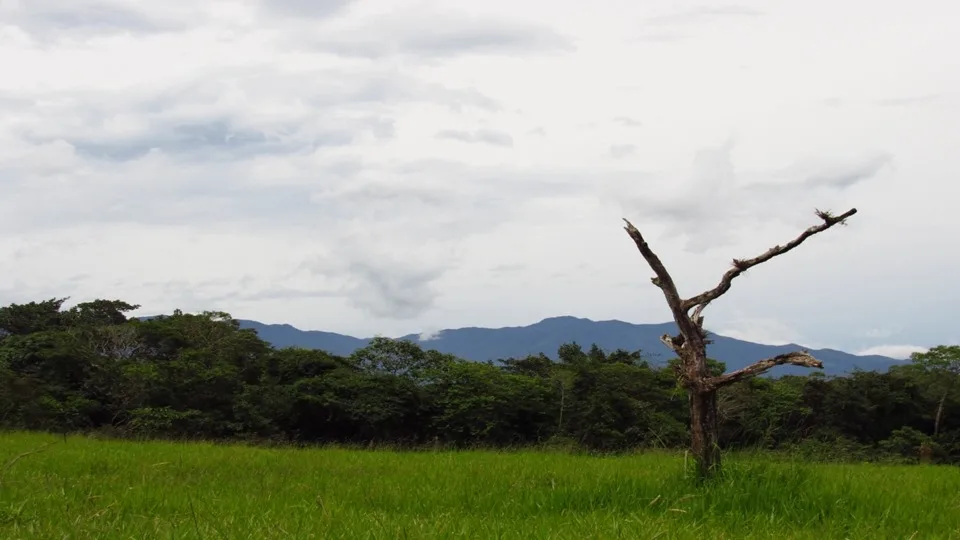 Chiriquí - Terrenos de inversión en Potrerillos