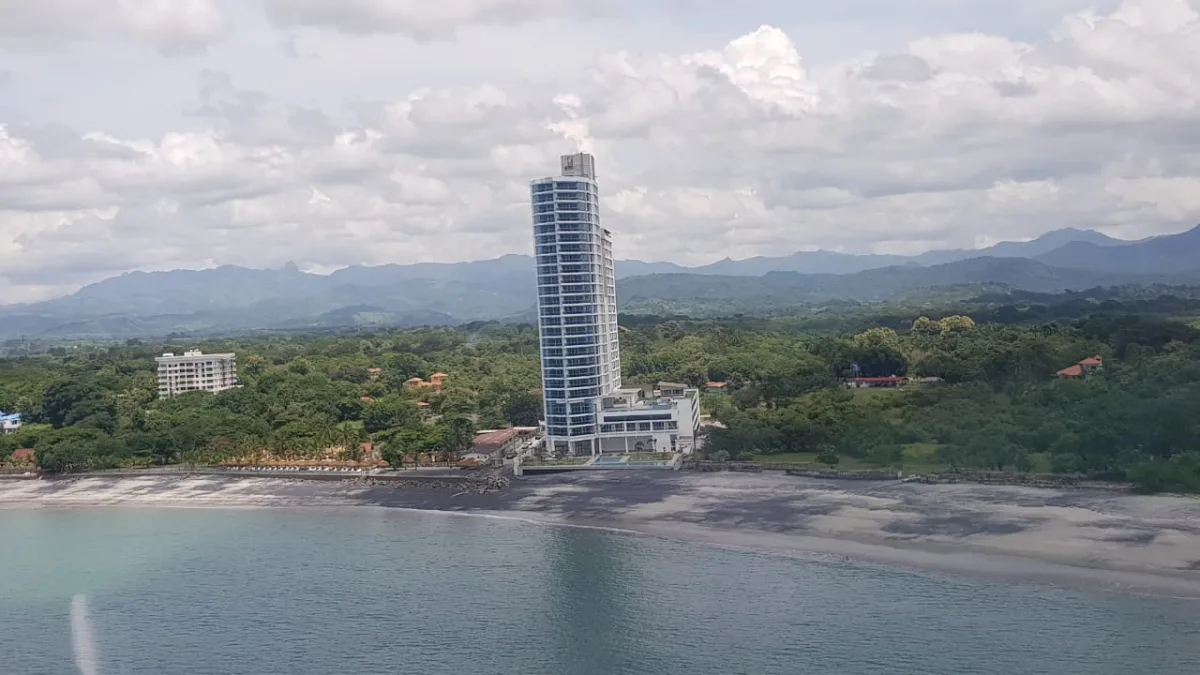 Gorgona - Royal Palm