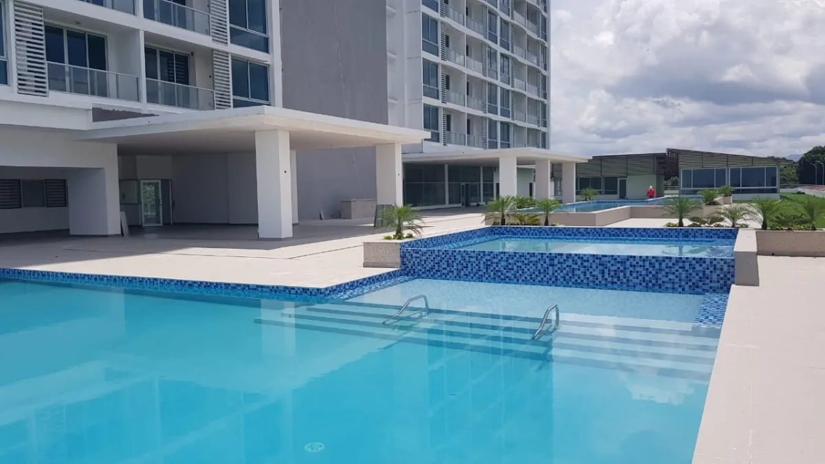 Gorgona - Royal Palm