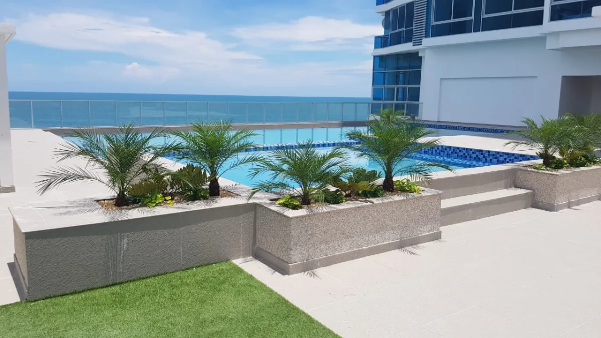 Gorgona - Royal Palm