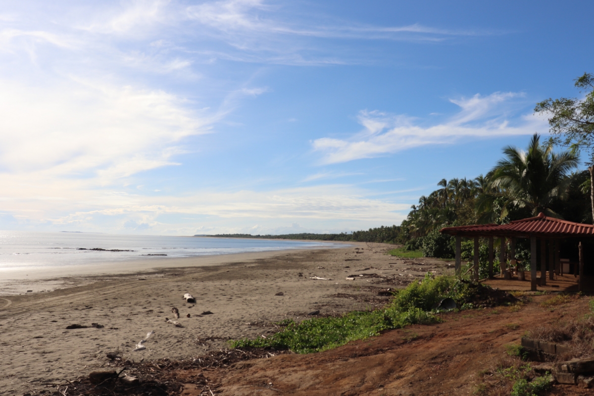 Land/Farm for Sale in Las Tablas