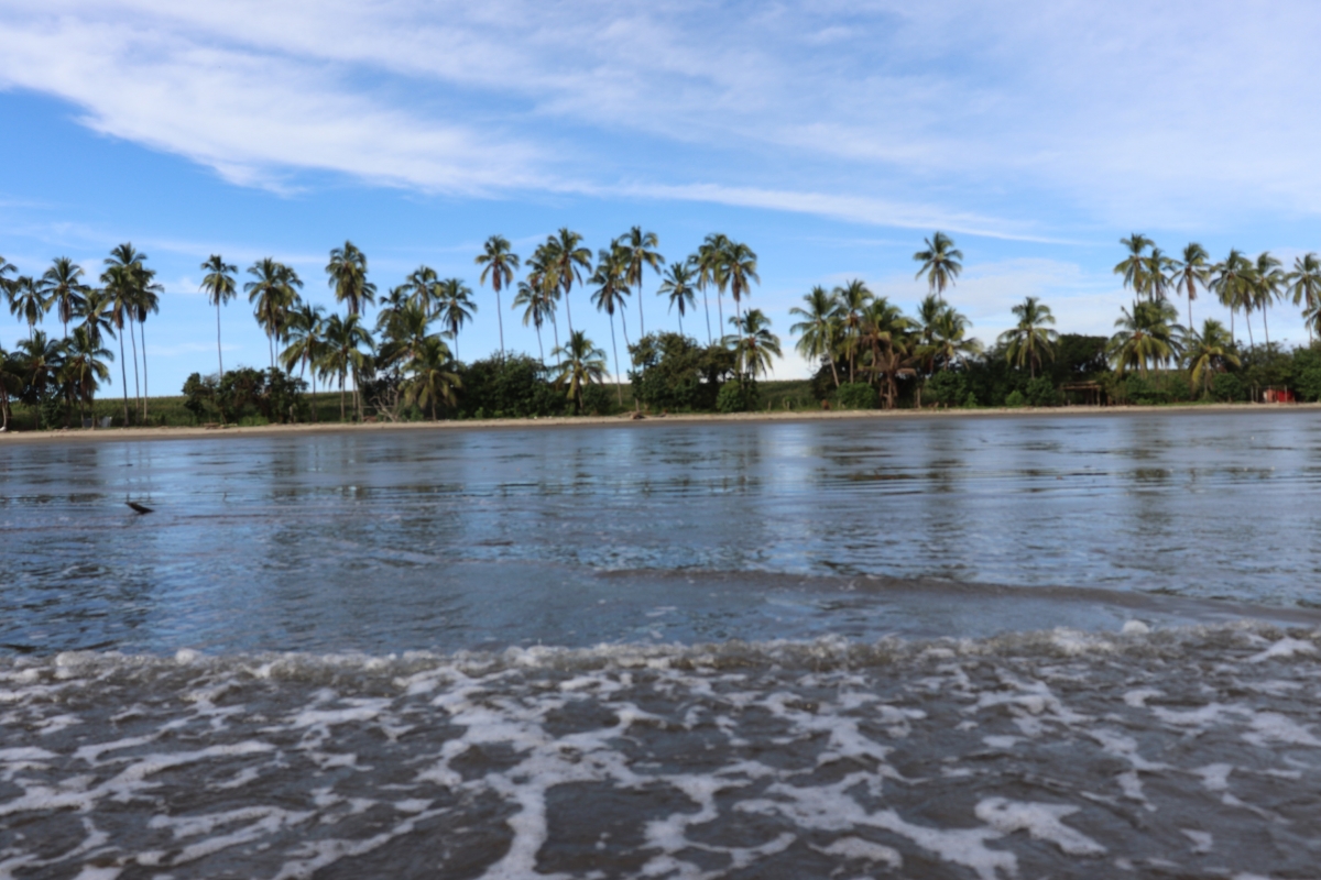 Land/Farm for Sale in Las Tablas