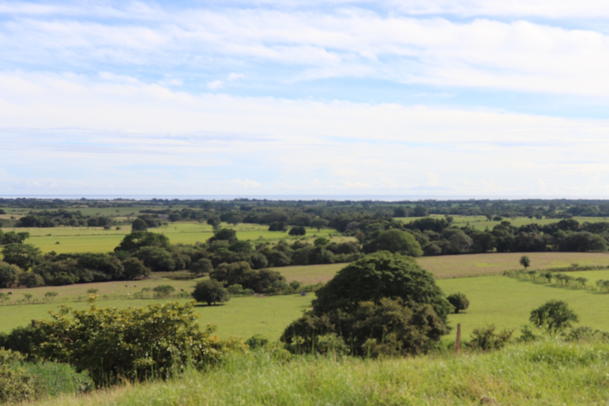 Land/Farm for Sale in Las Tablas