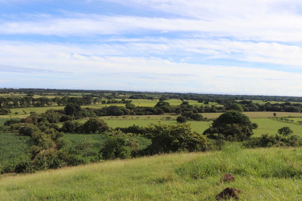 Land/Farm for Sale in Las Tablas