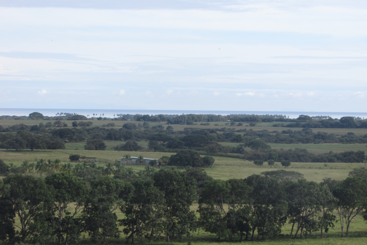 Land/Farm for Sale in Las Tablas