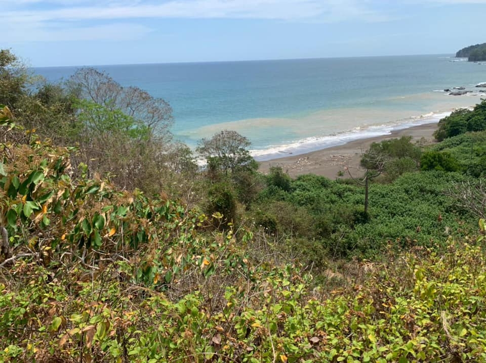 Beach Front 347 Hectares For Sale In Cerro Hoya near Cambutal, Panama