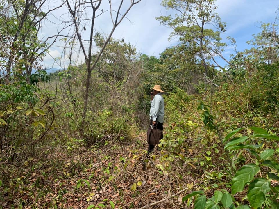 Beach Front 347 Hectares For Sale In Cerro Hoya near Cambutal, Panama