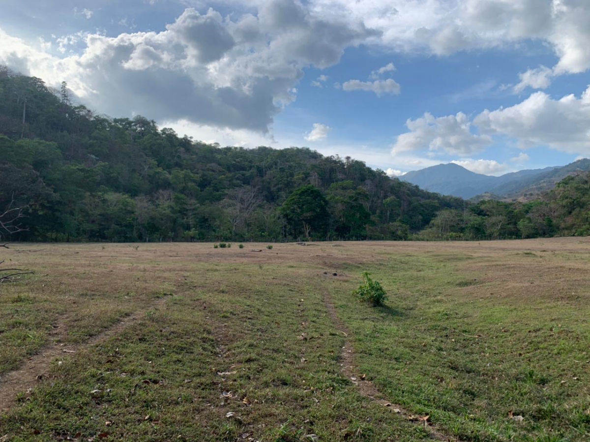 Beach Front 347 Hectares For Sale In Cerro Hoya near Cambutal, Panama