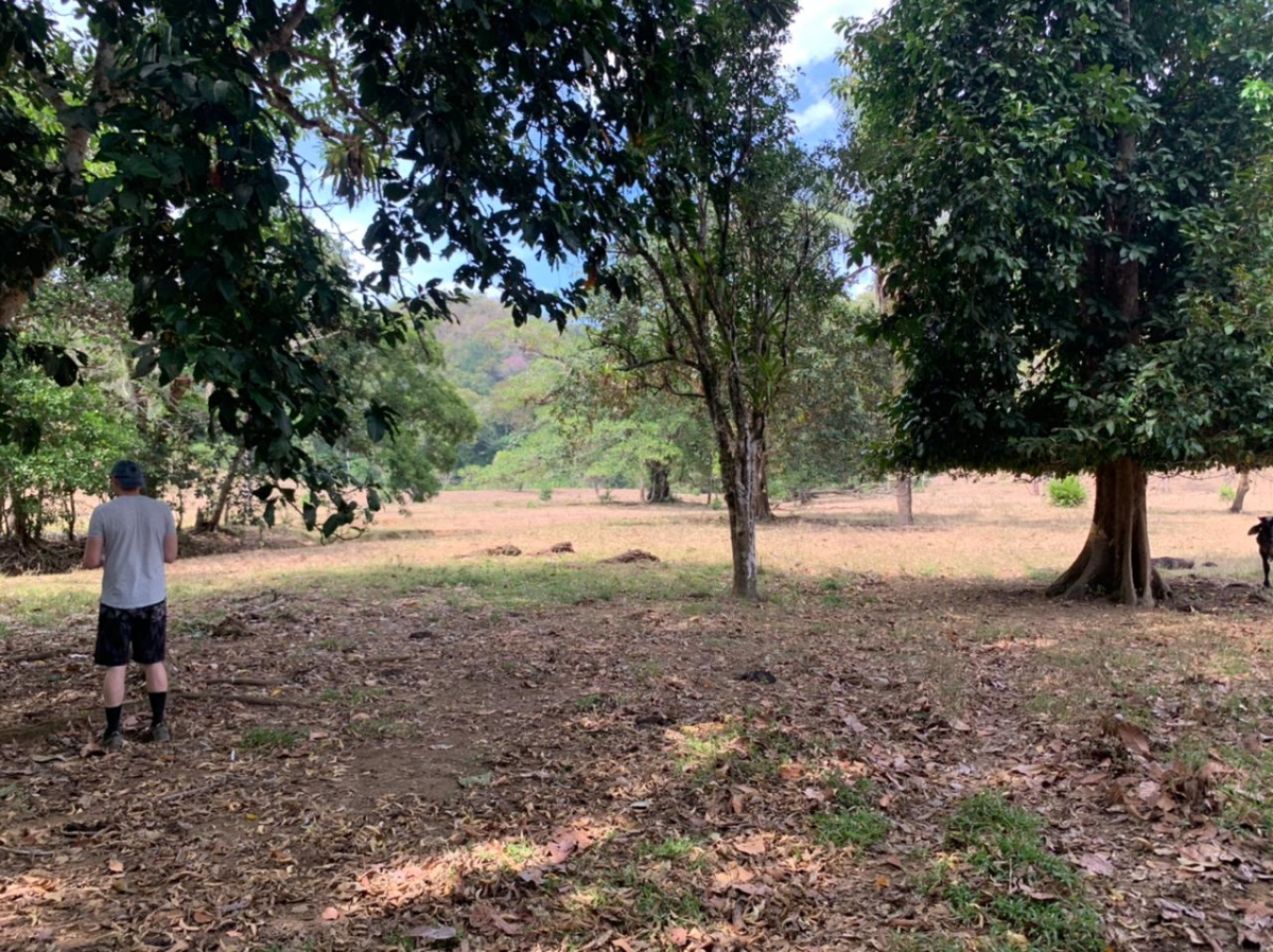 Beach Front 347 Hectares For Sale In Cerro Hoya near Cambutal, Panama
