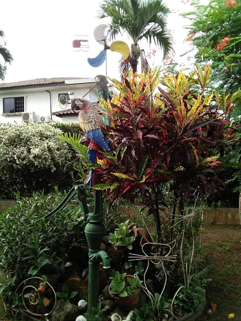 Maison unifamiliale à David à vendre