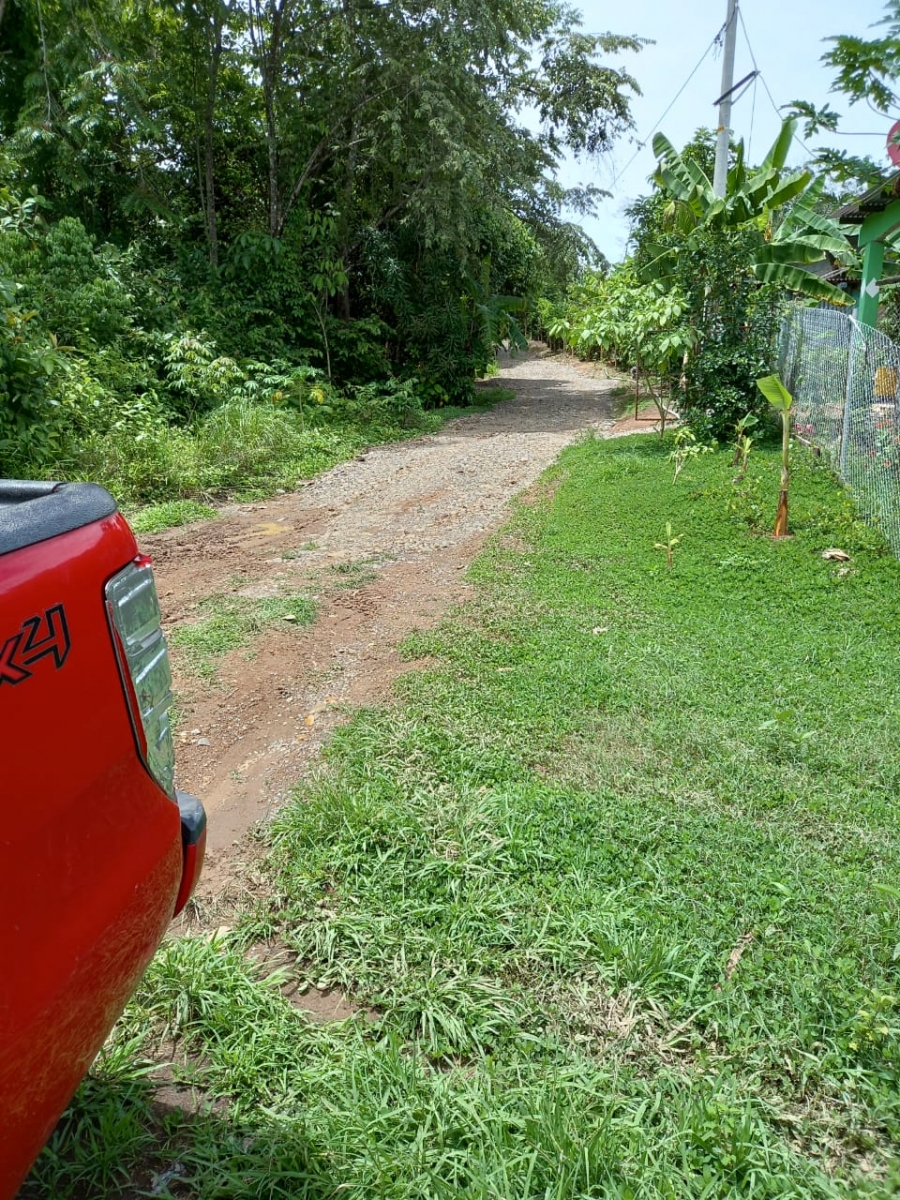 48 hectares titled farmland near Interamerican highway in San Juan, Chiriqui