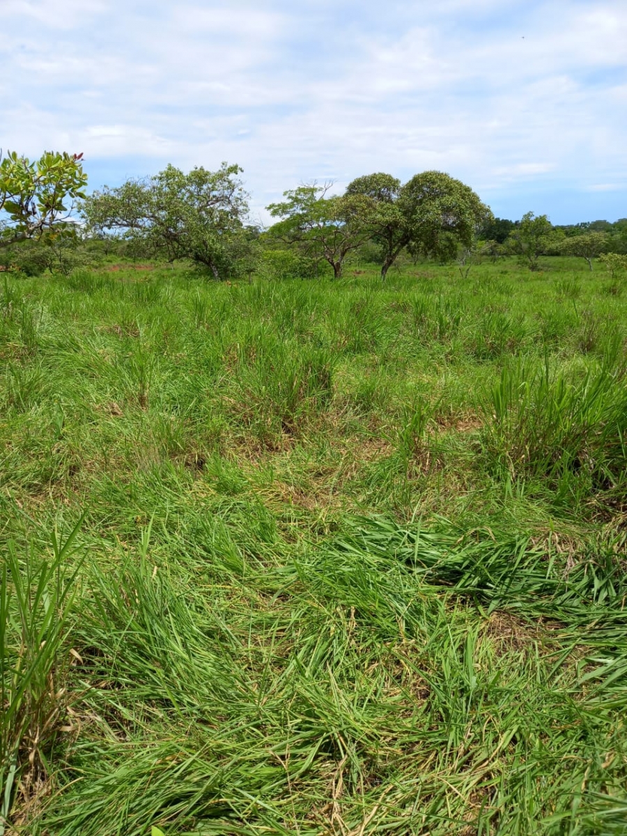 48 hectares titled farmland near Interamerican highway in San Juan, Chiriqui