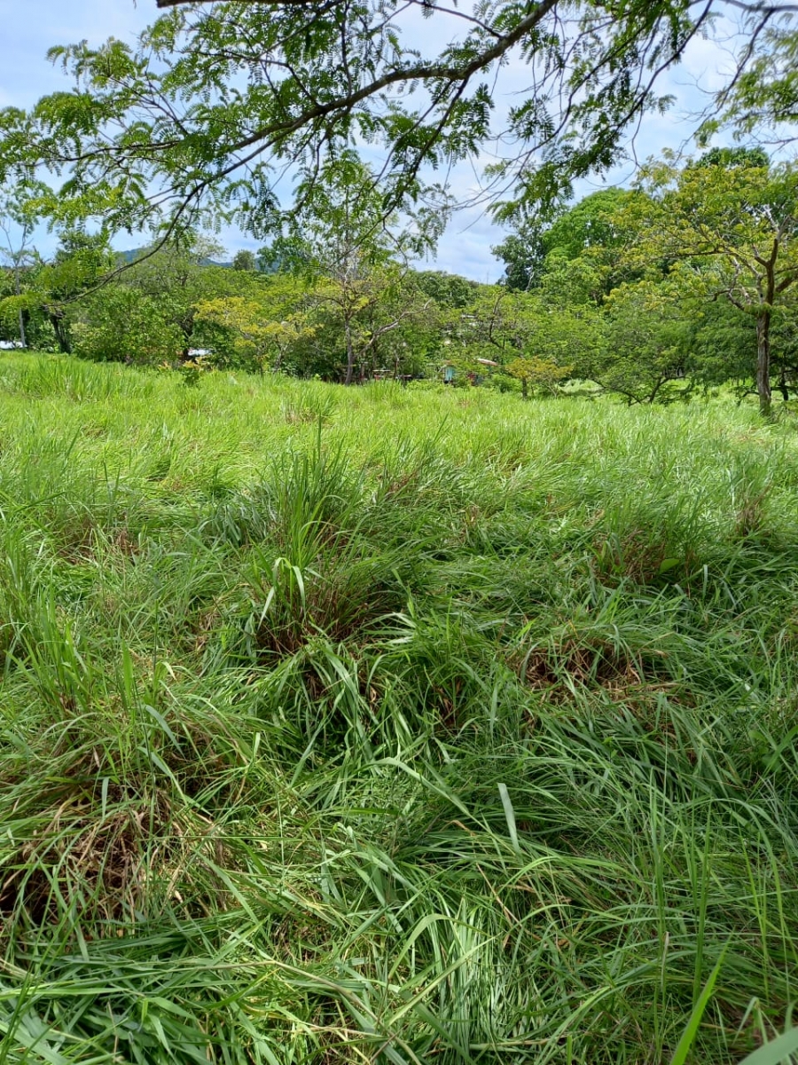 48 hectares titled farmland near Interamerican highway in San Juan, Chiriqui