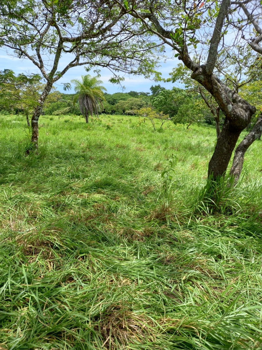 48 hectares titled farmland near Interamerican highway in San Juan, Chiriqui