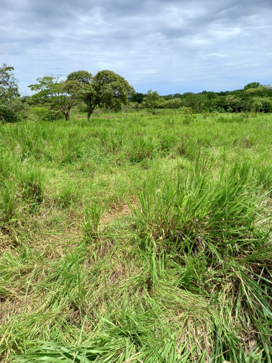 48 hectares titled farmland near Interamerican highway in San Juan, Chiriqui