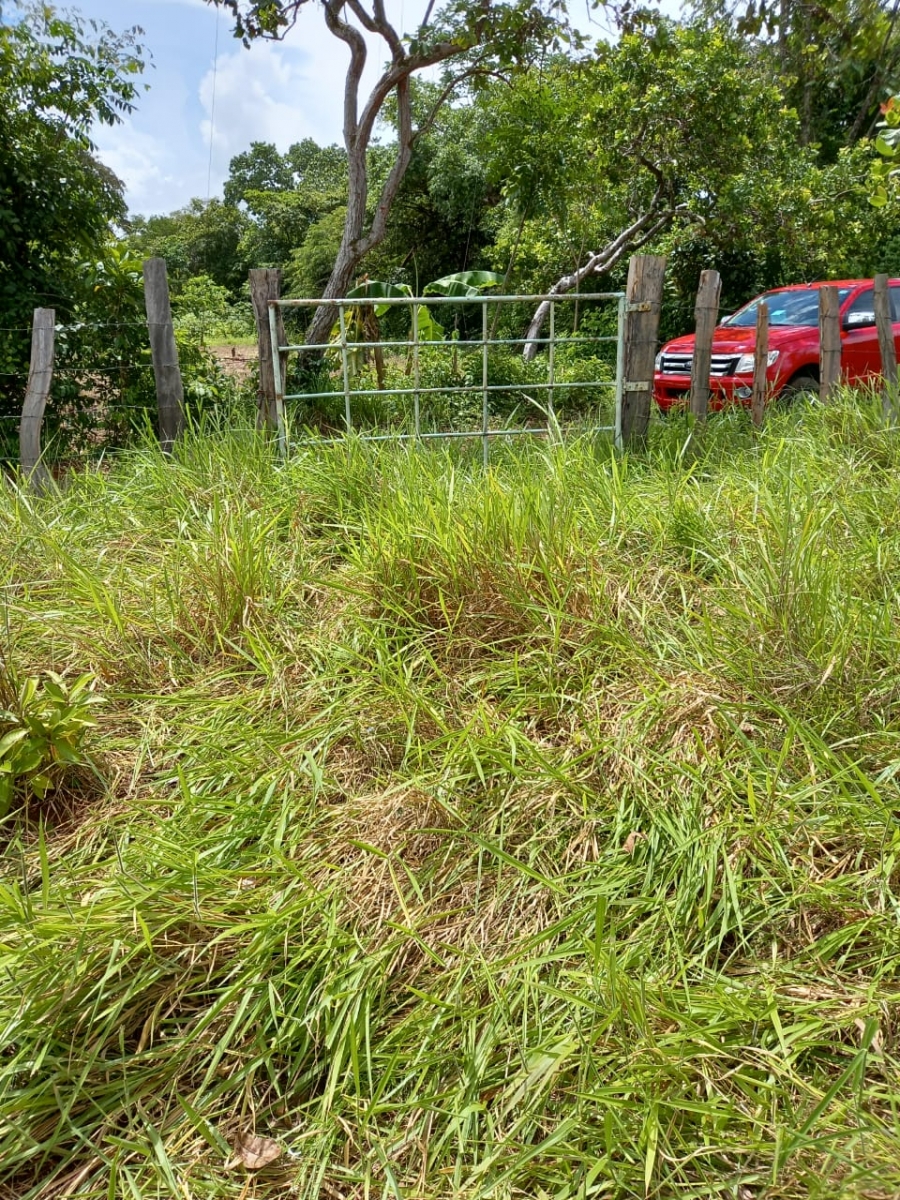 48 hectares titled farmland near Interamerican highway in San Juan, Chiriqui