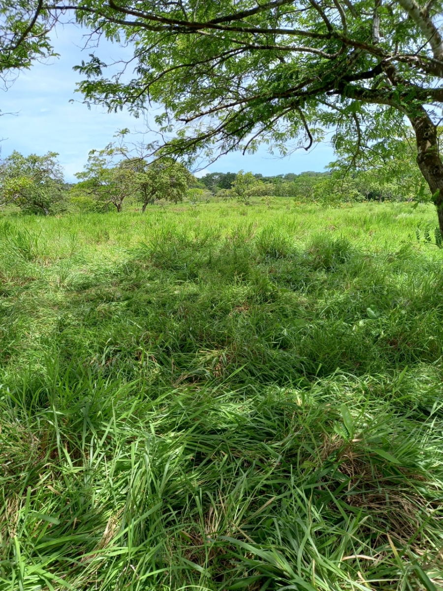 48 hectares titled farmland near Interamerican highway in San Juan, Chiriqui