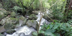 3-hectare waterfall farm in Sante Fe