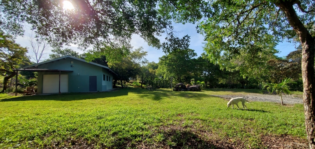Large river house and cabin on 2 hectares near Dolega for rent