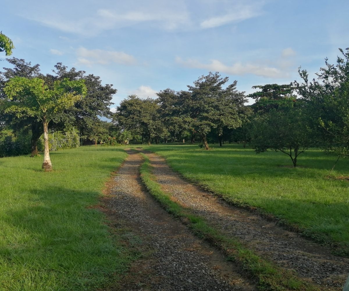 Large river house and cabin on 2 hectares near Dolega for rent