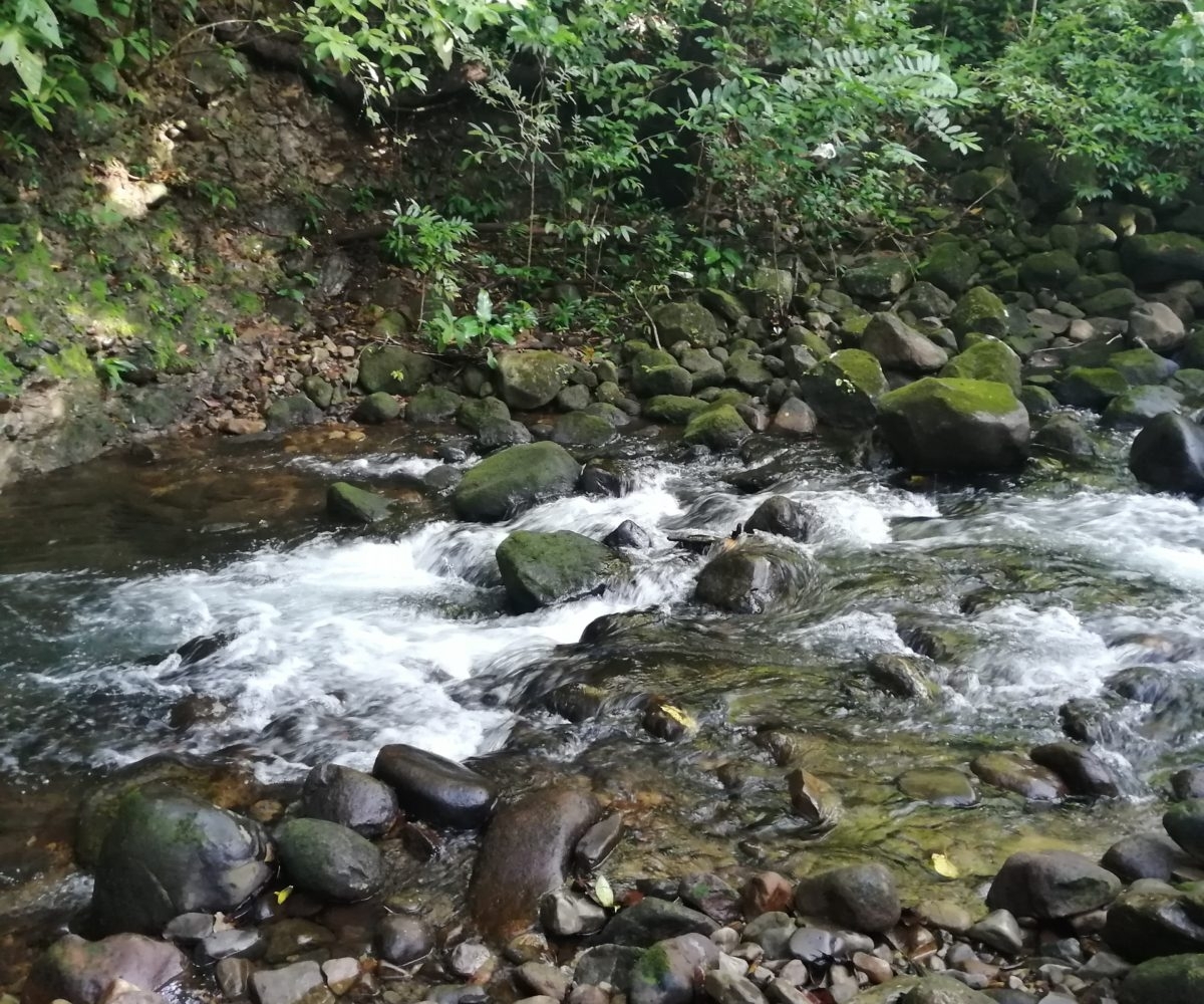 Large river house and cabin on 2 hectares near Dolega for rent