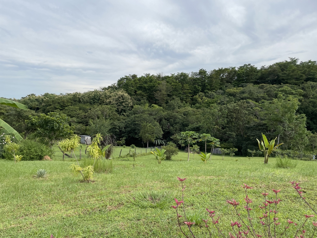 屋 在 Las Lajas 出售