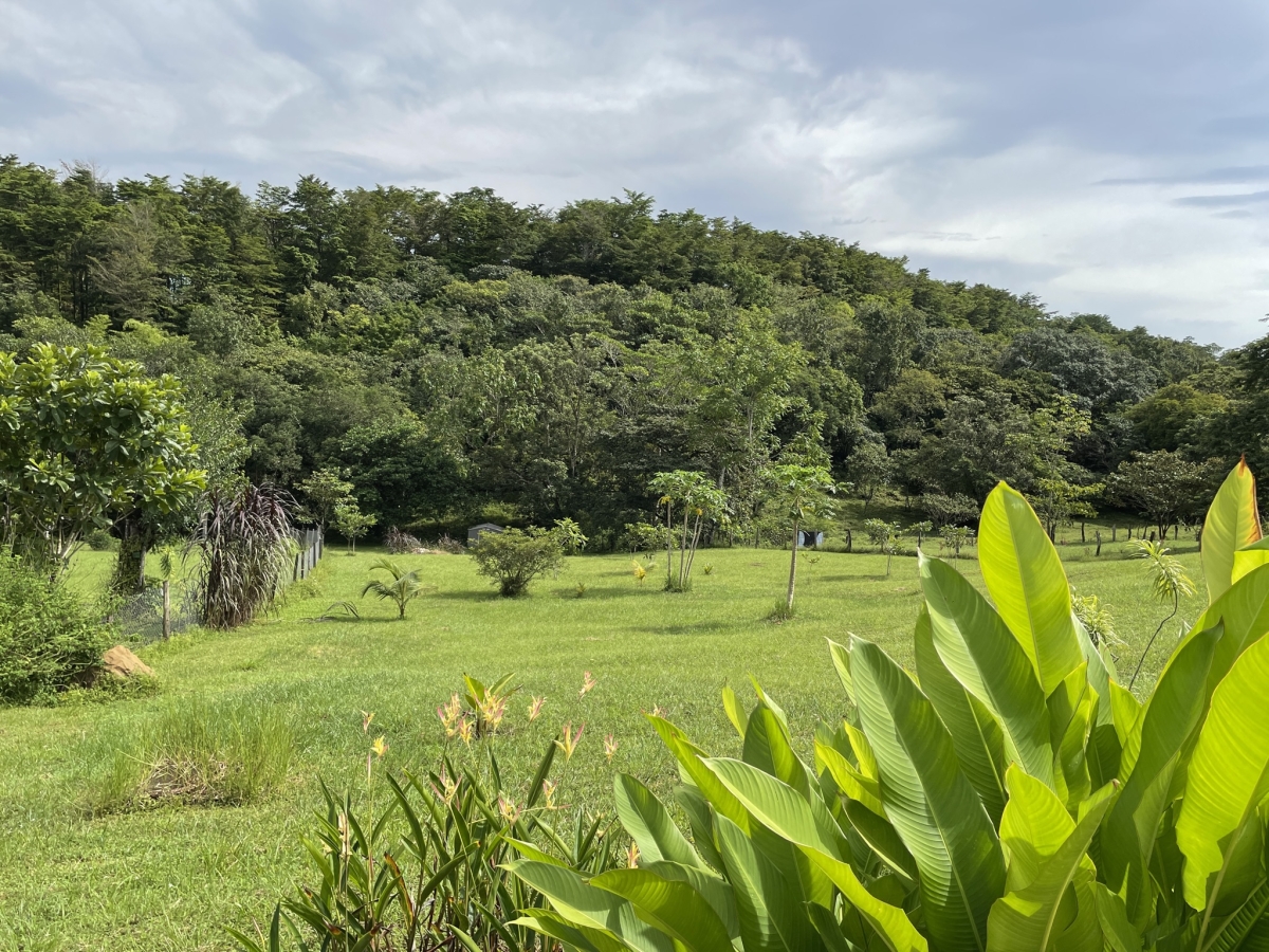 屋 在 Las Lajas 出售