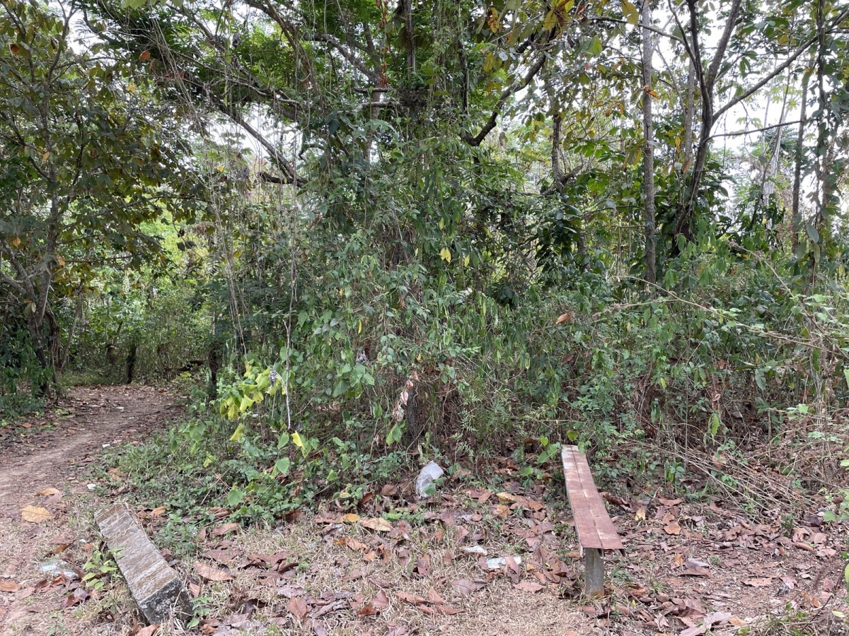 建筑很多 在 Las Lajas 出售