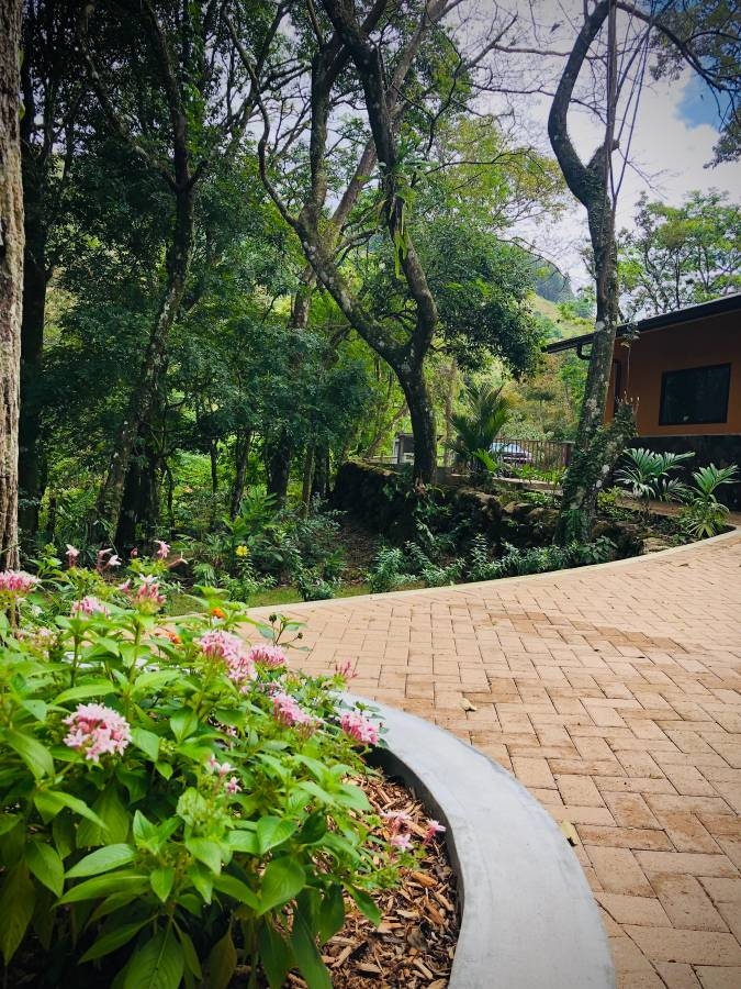 屋 在 Altos del Maria 出售