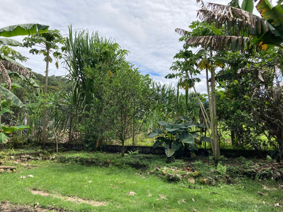 Casa de 1 planta con azotea en zona fresca y tranquila, cerca de Boquete