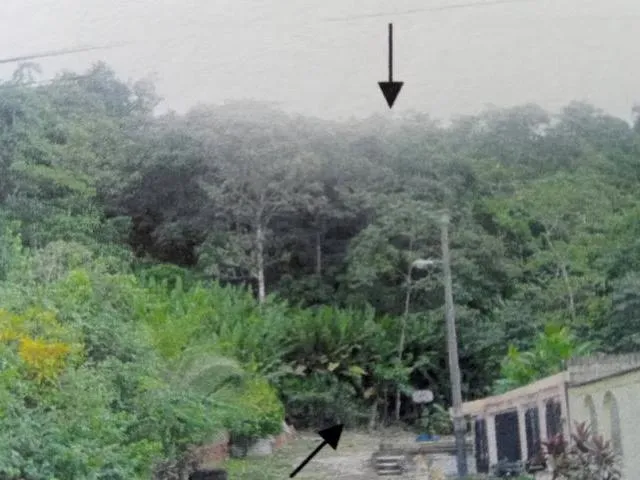 Se vende - Terreno - Cativà, Colòn