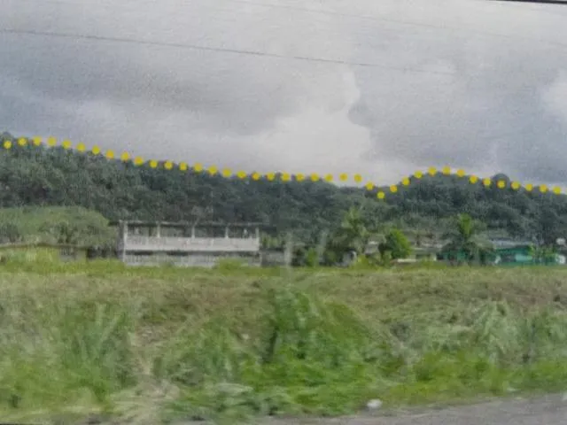 Se vende - Terreno - Cativà, Colòn