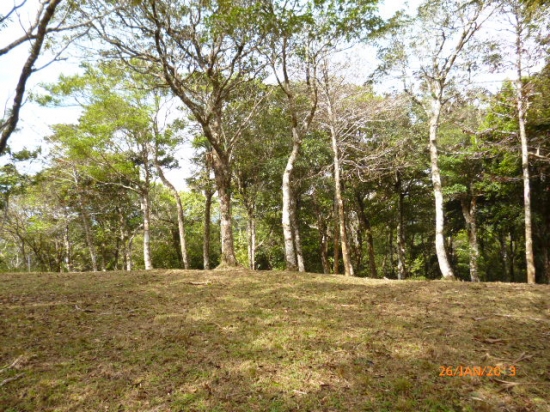 很多在高原的Altos María del–完美的建筑你梦想中的房子