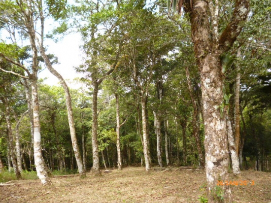 很多在高原的Altos María del–完美的建筑你梦想中的房子