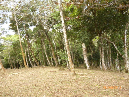很多在高原的Altos María del–完美的建筑你梦想中的房子