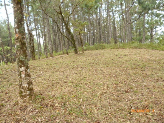 很多在高原的Altos María del–完美的建筑你梦想中的房子