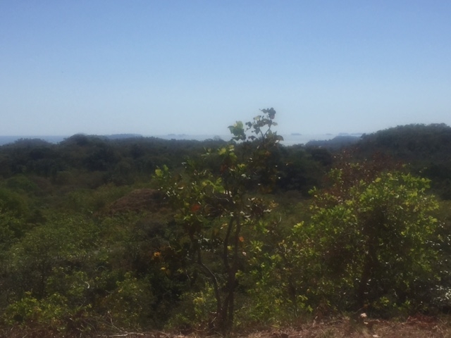 风景、看法、意见：2公顷的海洋观博卡奇卡