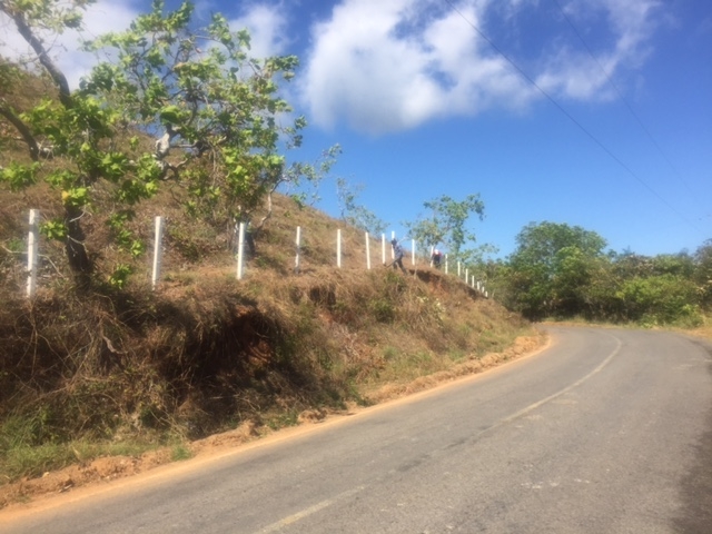 风景、看法、意见：2公顷的海洋观博卡奇卡