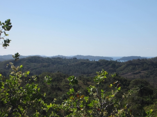 风景、看法、意见：2公顷的海洋观博卡奇卡