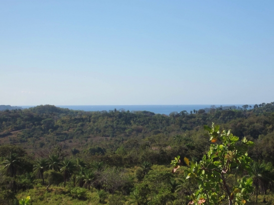 风景、看法、意见：2公顷的海洋观博卡奇卡
