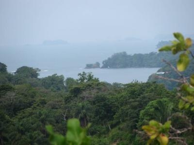风景、看法、意见：2公顷的海洋观博卡奇卡