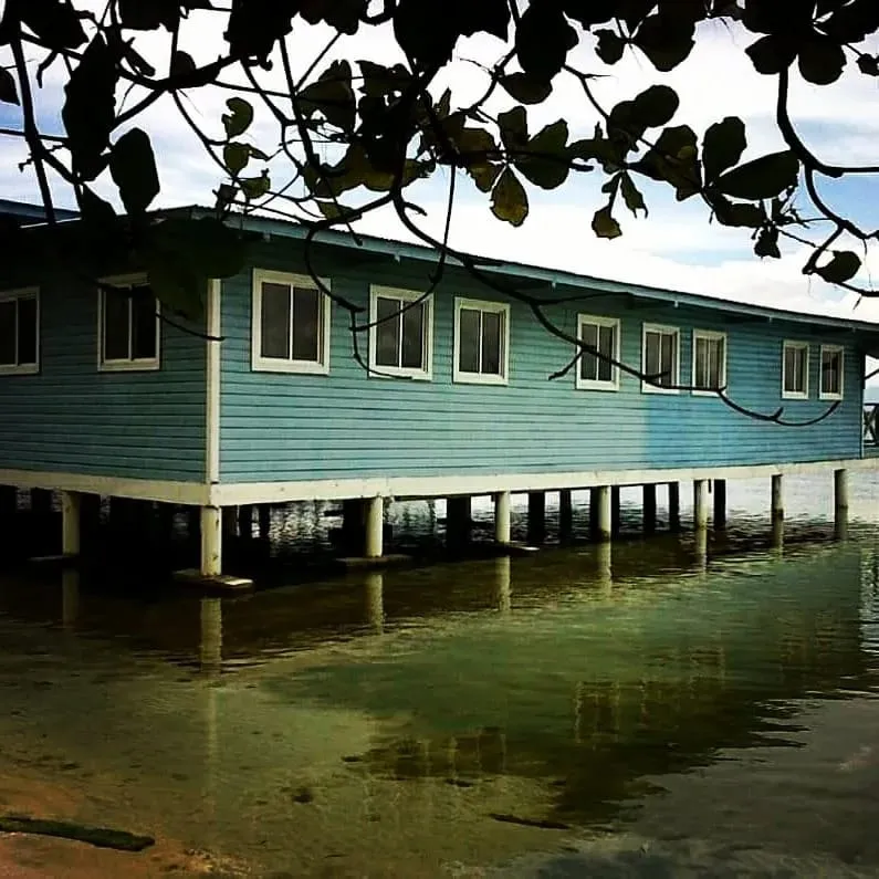 3 separate houses in Big Creek, Isla Colon, Bocas del Toro