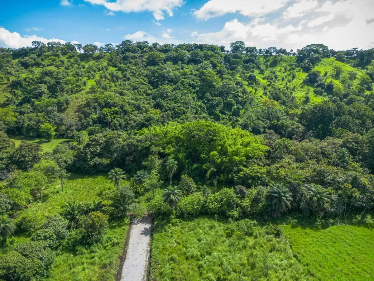 Propiedad diversa de 3 hectáreas en venta